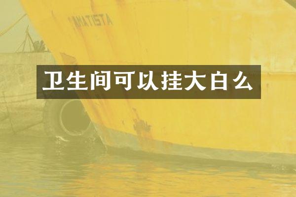 卫生间可以挂大白么