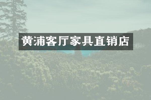 黄浦客厅家具直销店