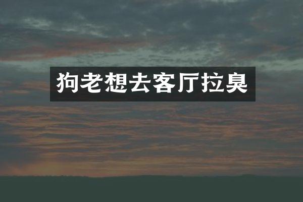 狗老想去客厅拉臭