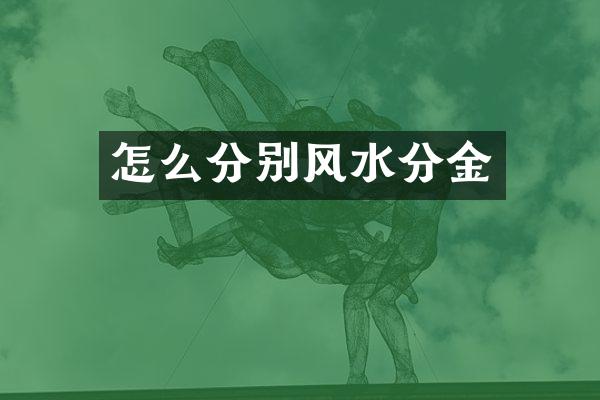怎么分别风水分金