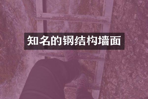 知名的钢结构墙面
