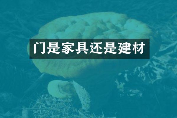 门是家具还是建材