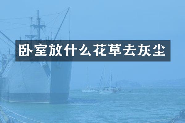 卧室放什么花草去灰尘