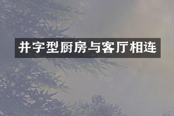 井字型厨房与客厅相连