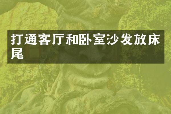 打通客厅和卧室沙发放床尾
