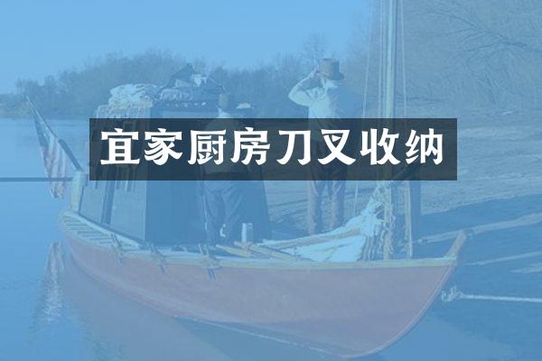 宜家厨房刀叉收纳