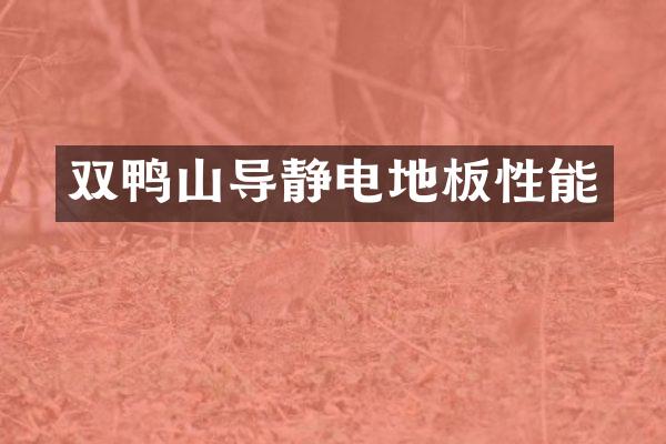 双鸭山导静电地板性能