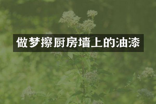 做梦擦厨房墙上的油漆