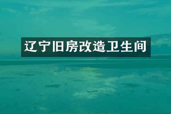 辽宁旧房改造卫生间