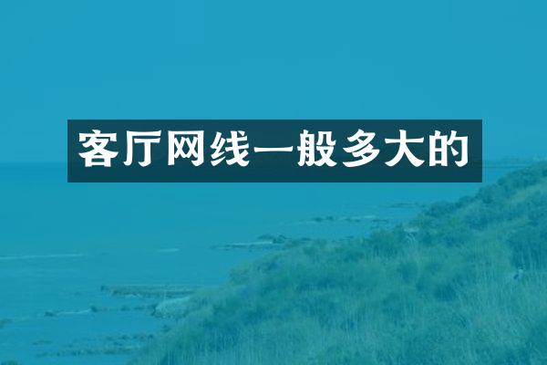 客厅网线一般多大的