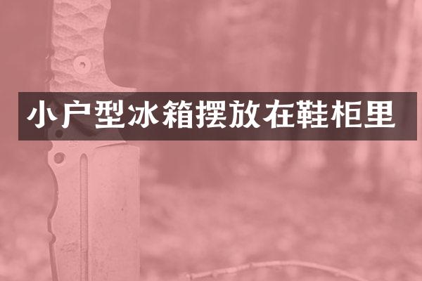 小户型冰箱摆放在鞋柜里