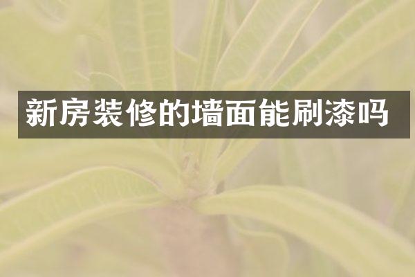 新房装修的墙面能刷漆吗