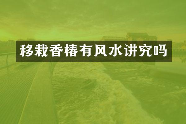 移栽香椿有风水讲究吗