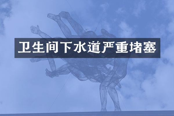 卫生间下水道严重堵塞