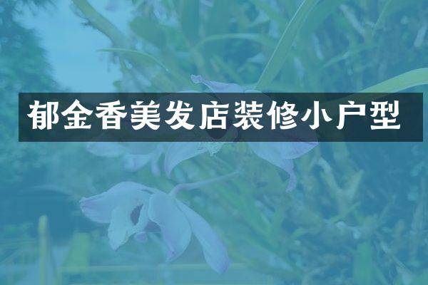 郁金香美发店装修小户型
