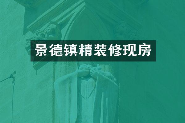 景德镇精装修现房