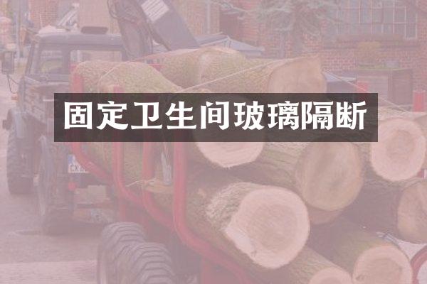 固定卫生间玻璃隔断