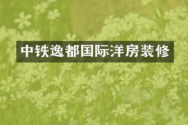 中铁逸都国际洋房装修