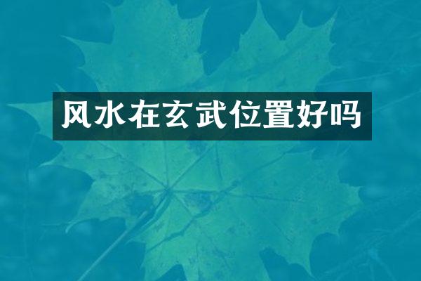 风水在玄武位置好吗
