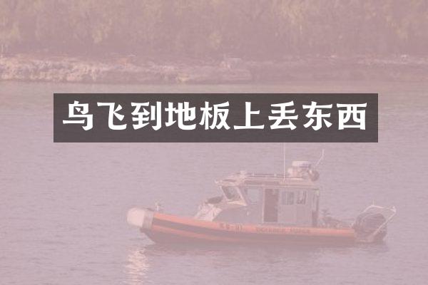 鸟飞到地板上丢东西