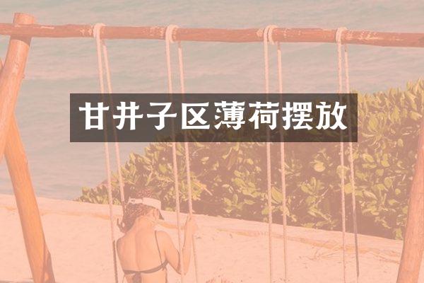 甘井子区薄荷摆放