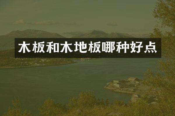 木板和木地板哪种好点