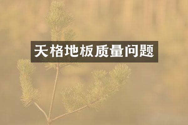 天格地板质量问题