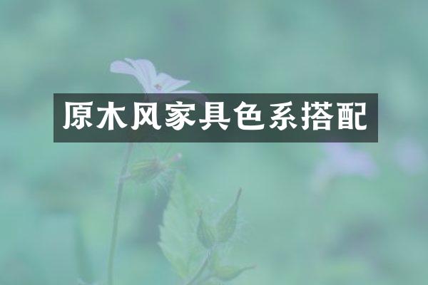 原木风家具色系搭配