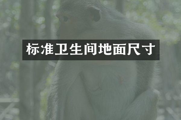 标准卫生间地面尺寸