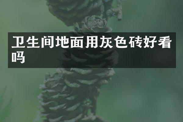 卫生间地面用灰色砖好看吗