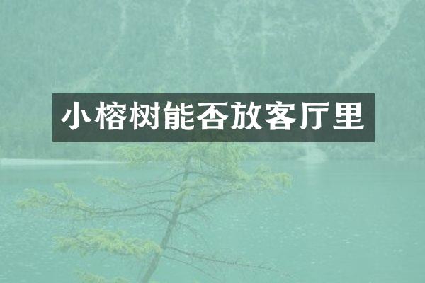 小榕树能否放客厅里