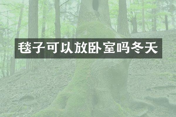 毯子可以放卧室吗冬天