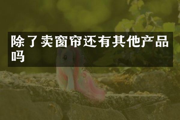除了卖窗帘还有其他产品吗