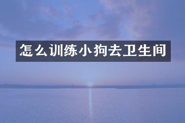 怎么训练小狗去卫生间