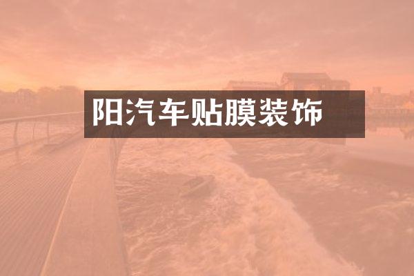 潥阳汽车贴膜装饰