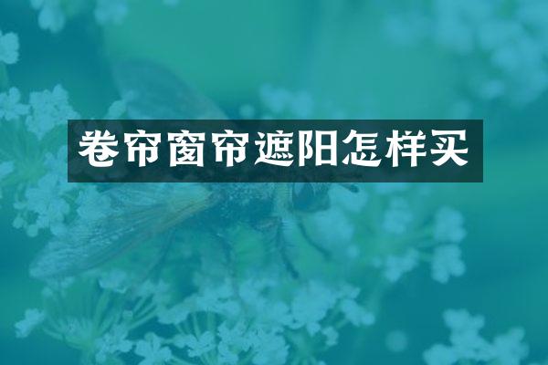 卷帘窗帘遮阳怎样买