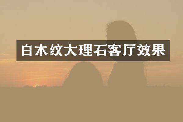 白木纹大理石客厅效果