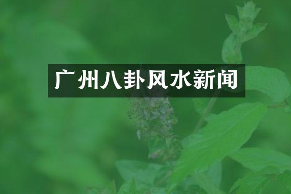 广州八卦风水新闻