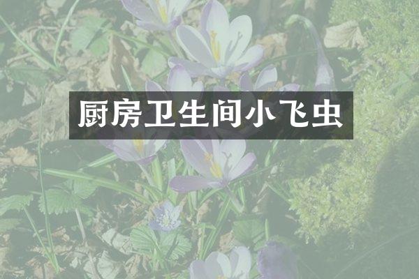 厨房卫生间小飞虫