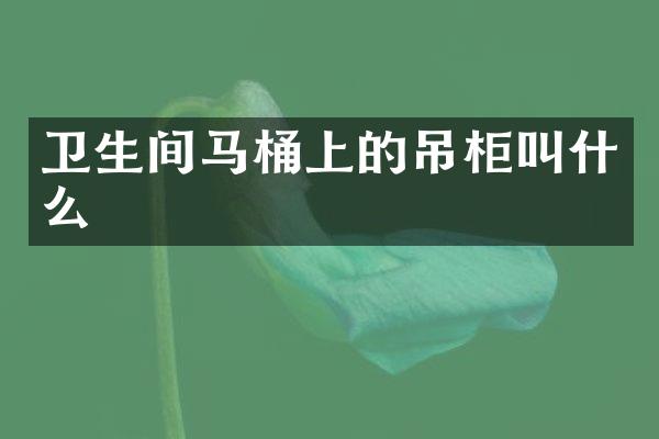 卫生间马桶上的吊柜叫什么
