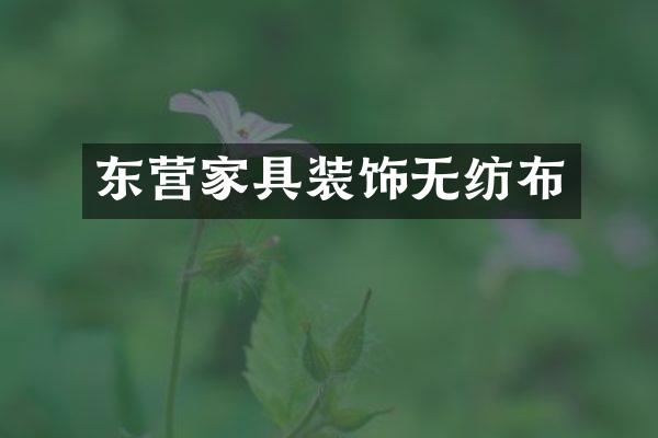 东营家具装饰无纺布