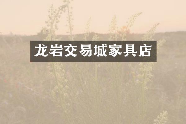 龙岩交易城家具店