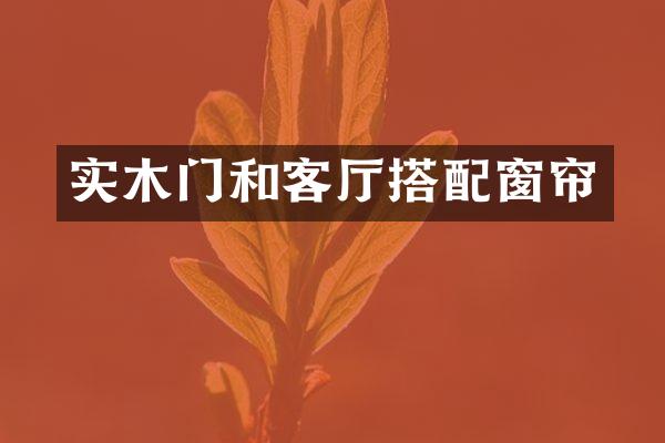 实木门和客厅搭配窗帘