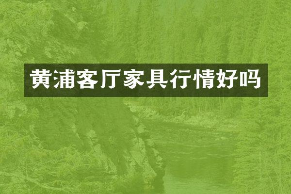 黄浦客厅家具行情好吗