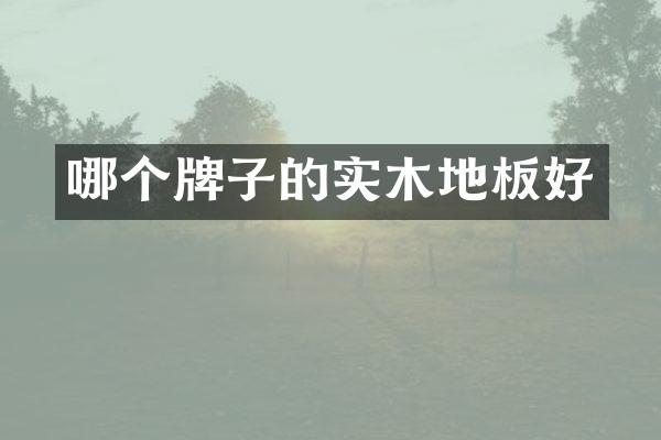 哪个牌子的实木地板好