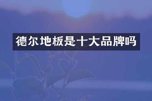 德尔地板是十大品牌吗
