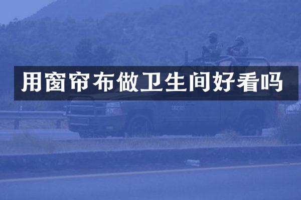 用窗帘布做卫生间好看吗