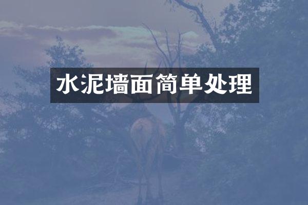 水泥墙面简单处理