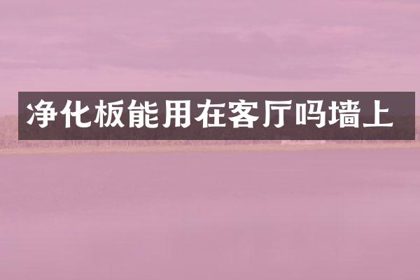 净化板能用在客厅吗墙上