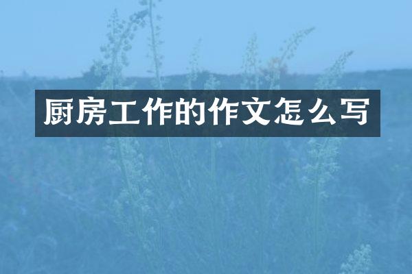 厨房工作的作文怎么写